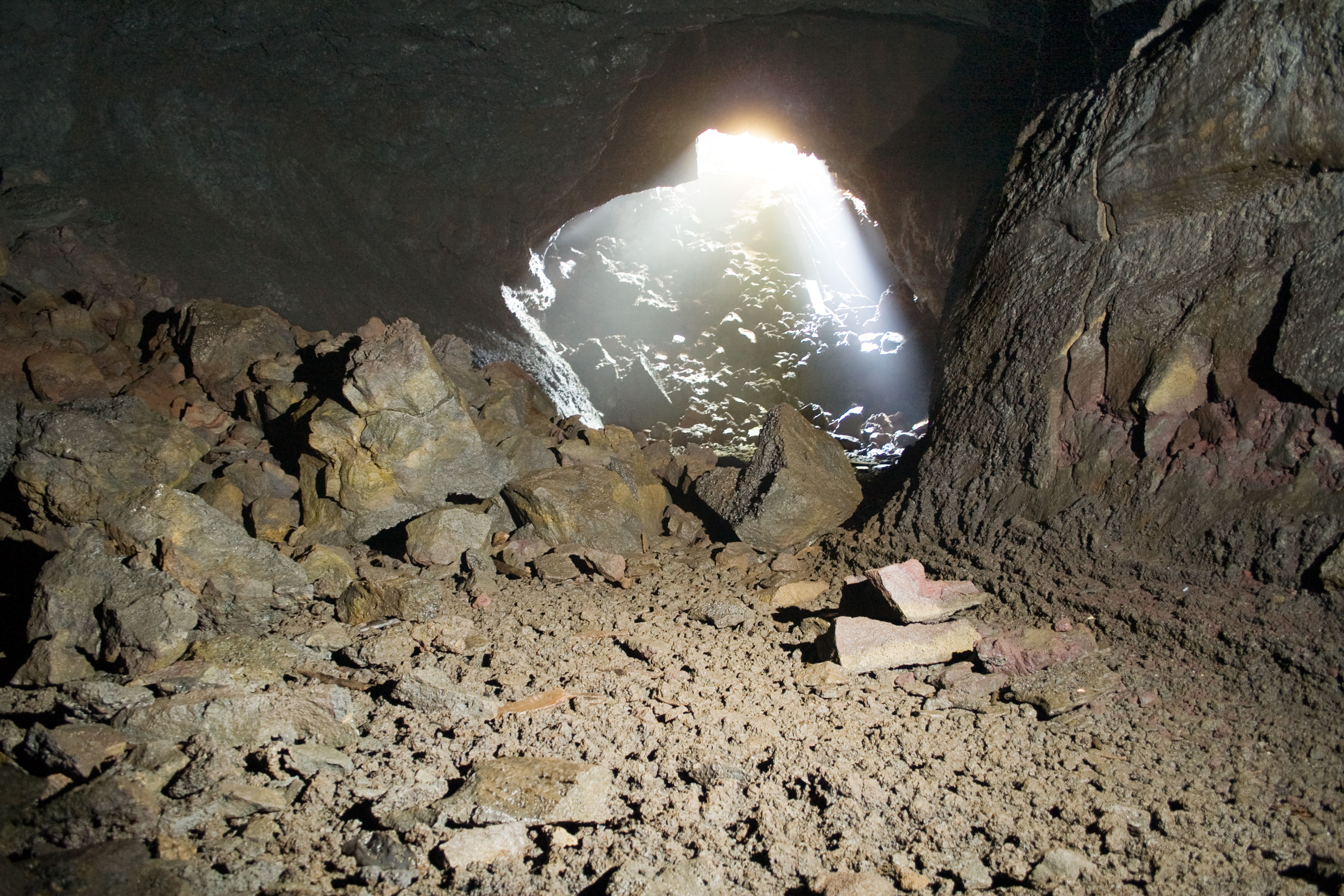 the cave and the beaver