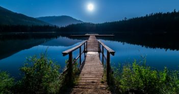 Last Page | by John Gray